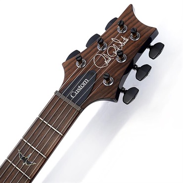 P.R.S. Wood Library Custom 24 Semi-Hollow (Whale Blue) SN.0421115 【2026年生産品】 画像8