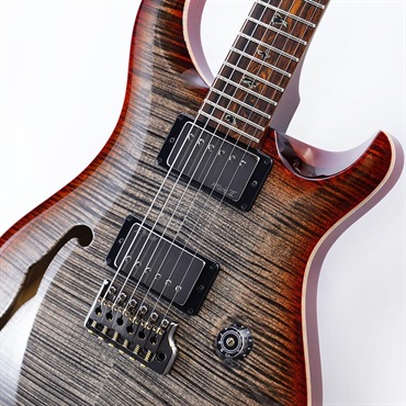 P.R.S. Wood Library Custom 24 Semi-Hollow (Chacoal Cherry Burst) SN.0421124 【2026年生産品】 画像3