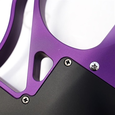 EVO 0101Z Trem Sand Blast Purple Limited 画像9