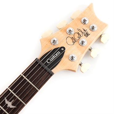 P.R.S. SE Custom 24 (Blue Matteo) SN.CTII001498 【2026年生産品】 画像6