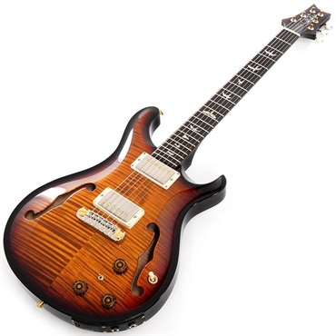 P.R.S. Hollowbody II Piezo 10 Top (Custom Color) SN.0392819 【2024年生産品】 画像1