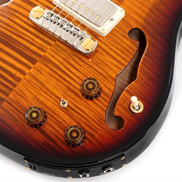P.R.S. Hollowbody II Piezo 10 Top (Custom Color) SN.0392819 【2024年生産品】 画像4