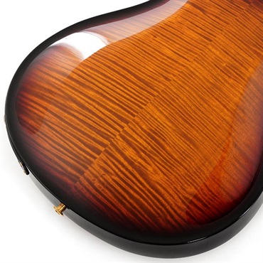 P.R.S. Hollowbody II Piezo 10 Top (Custom Color) SN.0392819 【2024年生産品】 画像7