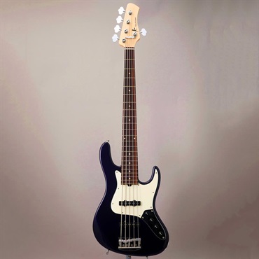 Kikuchi Guitars Hermes Series RV5 (Dark Purple Metallic) 画像1