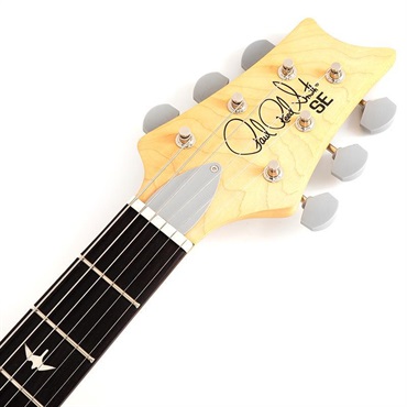 P.R.S. SE Silver Sky Rosewood (Derby Red) CTIH031797 【2025年生産品】 画像6