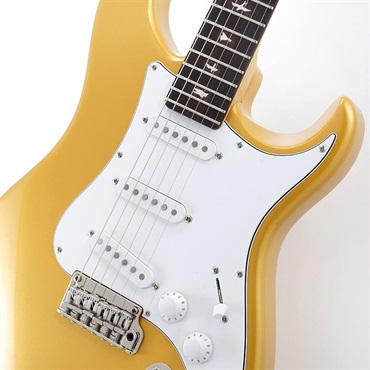 P.R.S. SE Silver Sky Rosewood Limited Colors (Gold Spark) [John Mayer Model] SN.CTIH079220 【2025年生産品】 【限定カラー】 画像3
