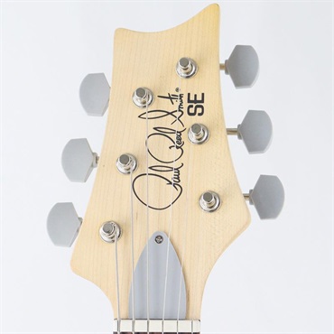 P.R.S. SE Silver Sky Rosewood Limited Colors (Platinum Spark) [SN.CTI H076266] [John Mayer Model] 【2025年生産品】【限定カラー】 画像8