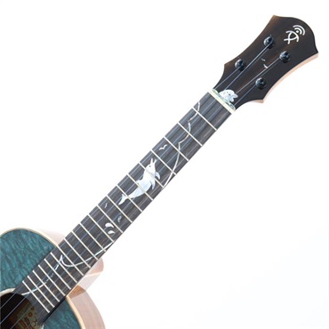 aNueNue aNN-Shimo’ｓ Dolphin 2025 III アヌエヌエ 画像4