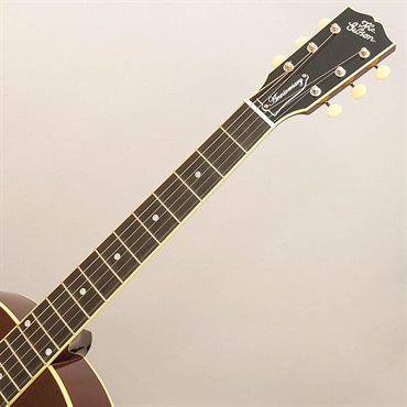 Gibson 【ファクトリー選定品】 L-1 Anniversary Limited Edition （Cremona Burst）#23395017 ギブソン 画像7