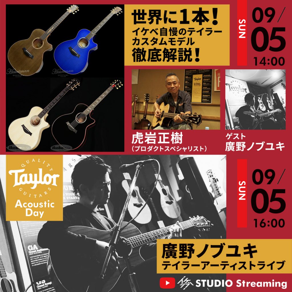 Taylor Acoustic Day
                      