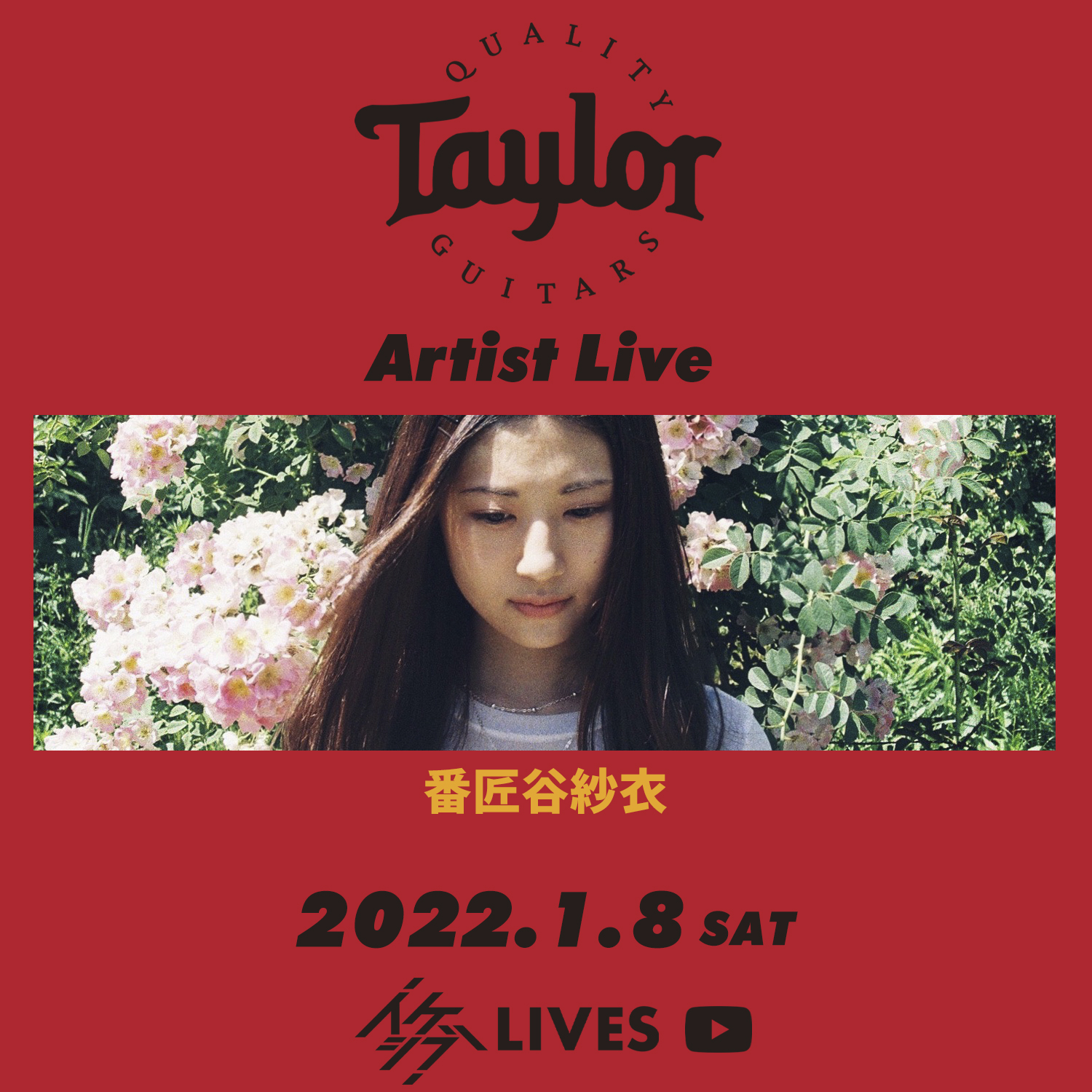 Taylor Guitars Artist Live