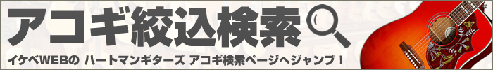 アコギ絞込検索