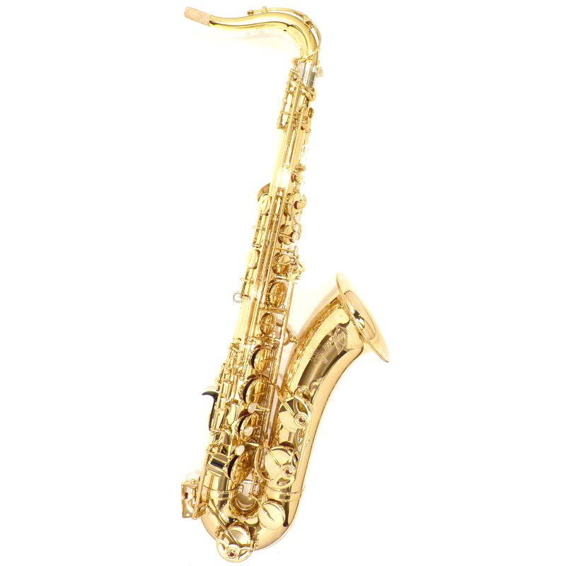 YAMAHA アルトサックス YTS-875/875EX M1/G1/G3