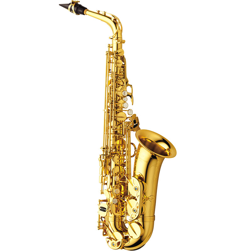 YANAGISAWA アルトサックス A-WO1