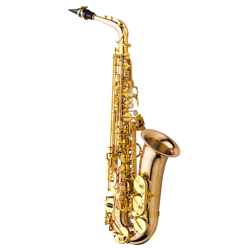 YANAGISAWA アルトサックス A-WO2