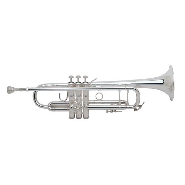 V.Bach Bb管 トランペット 180ML37/25 GBS