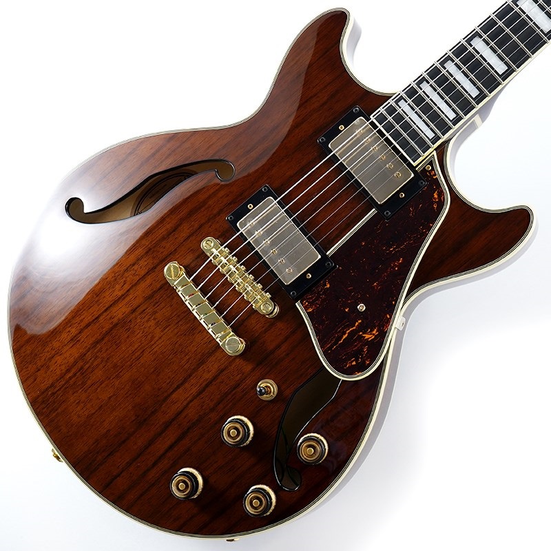 Ibanez Artcore Expressionist AM93ME-NT