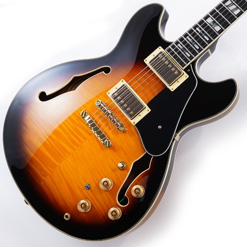 Ibanez JSM10