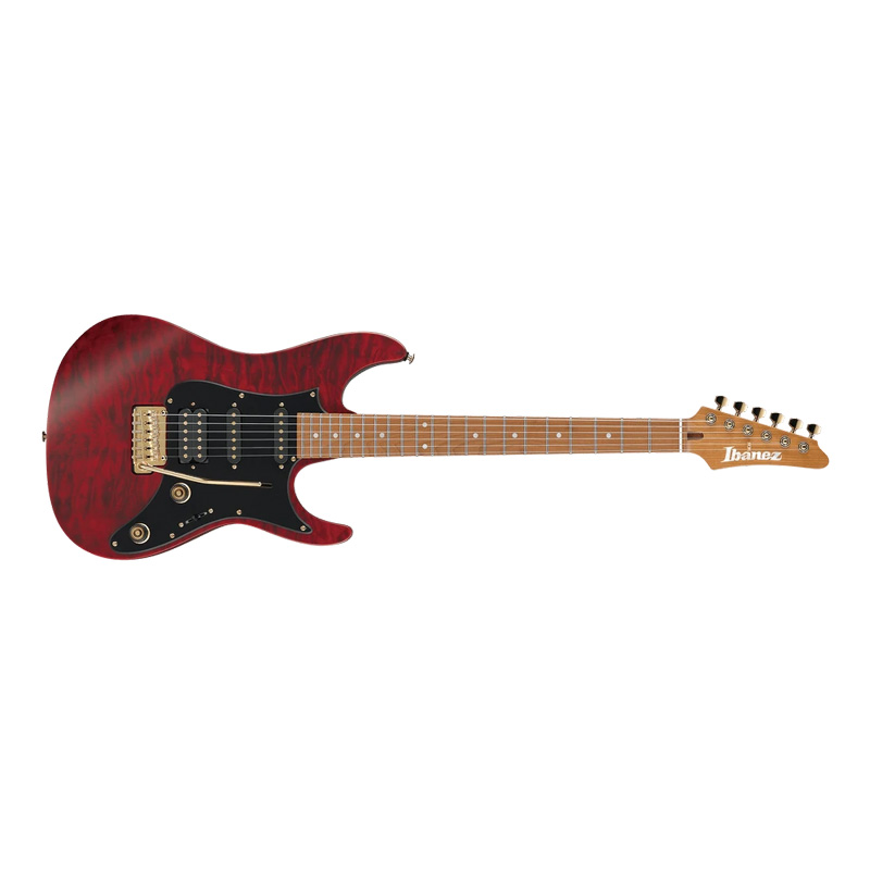 Ibanez SLM10
