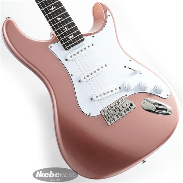 PRS (Paul Reed Smith) Silver Sky (John Mayer Signature Model/2023-)