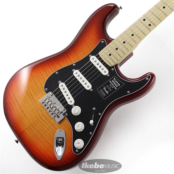 Fender MEX Player Stratocaster Plus Top Maple Fingerboard