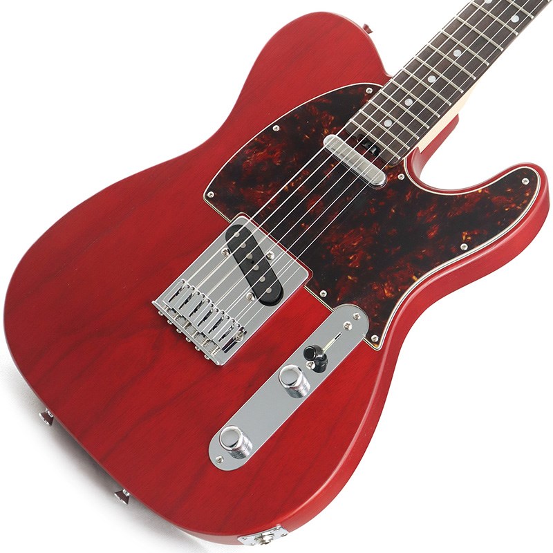 SCHECTER Progauge Series PS-TE-IK