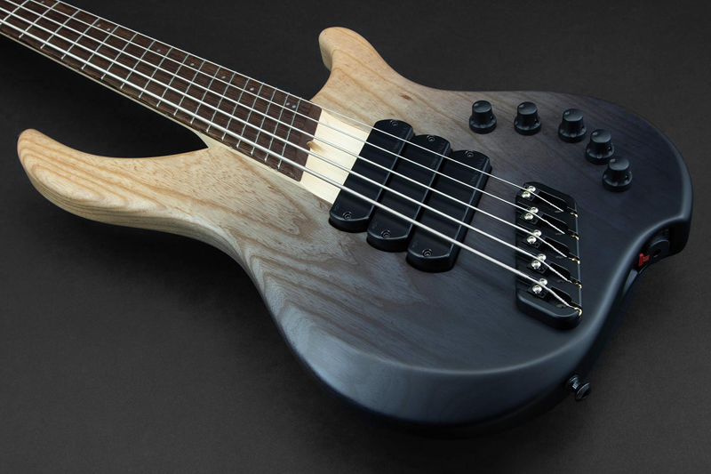 DINGWALL ABZ 5st ※トップ材等のオプションにより変動致します