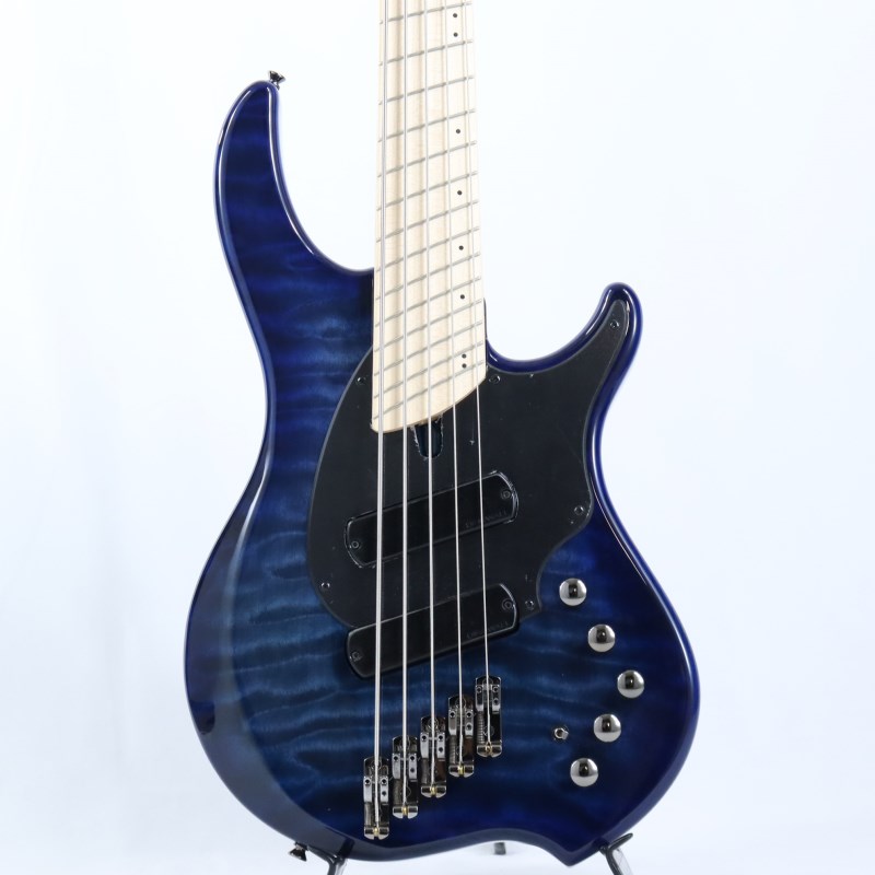 DINGWALL Combustion CC1 5st
