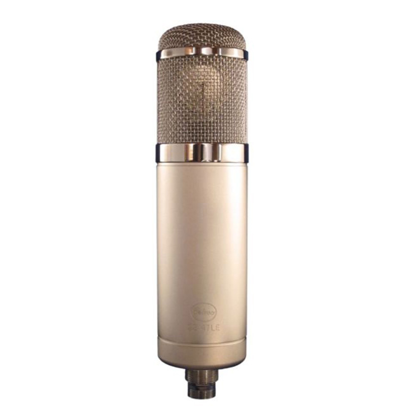 Peluso 真空管・コンデンサーマイク 22 47 LE (22 47 Limited Edition)
