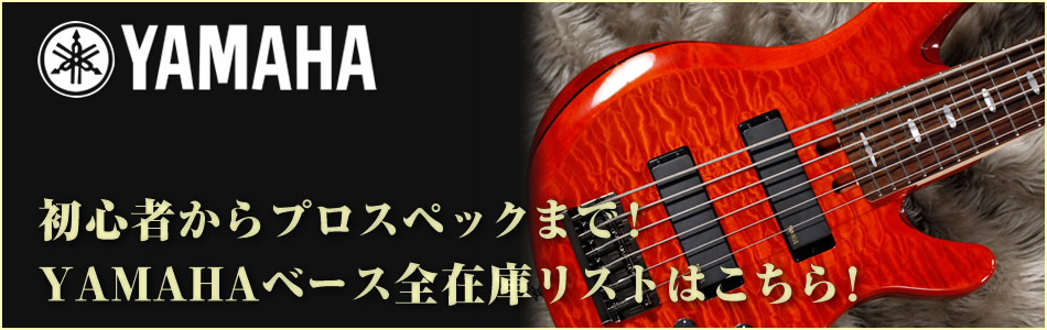 国産老舗の貫禄！TUNE/Phoenixベースのストックはコチラ！