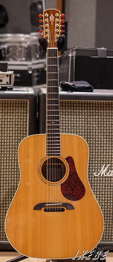 Alvarez Yairi AD/12弦